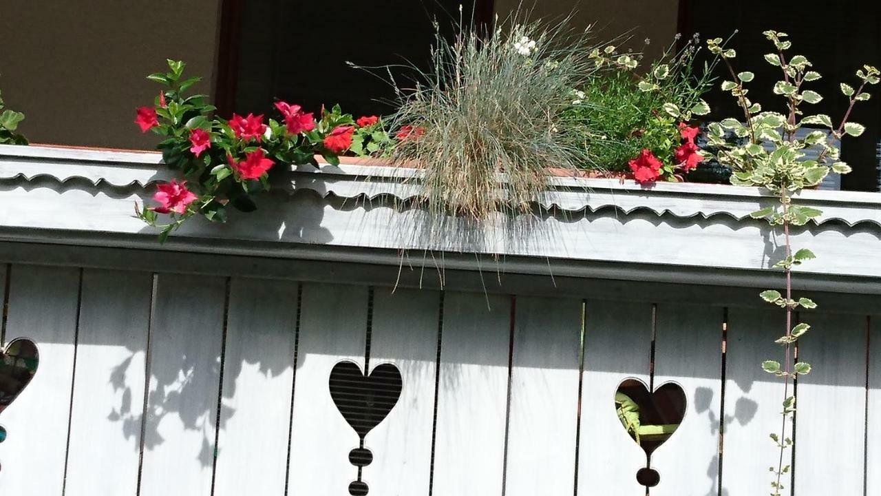Apartmaji Marinka Hodnik بوينج المظهر الخارجي الصورة